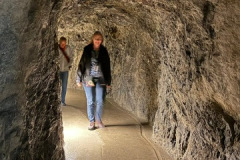 IMG_0637